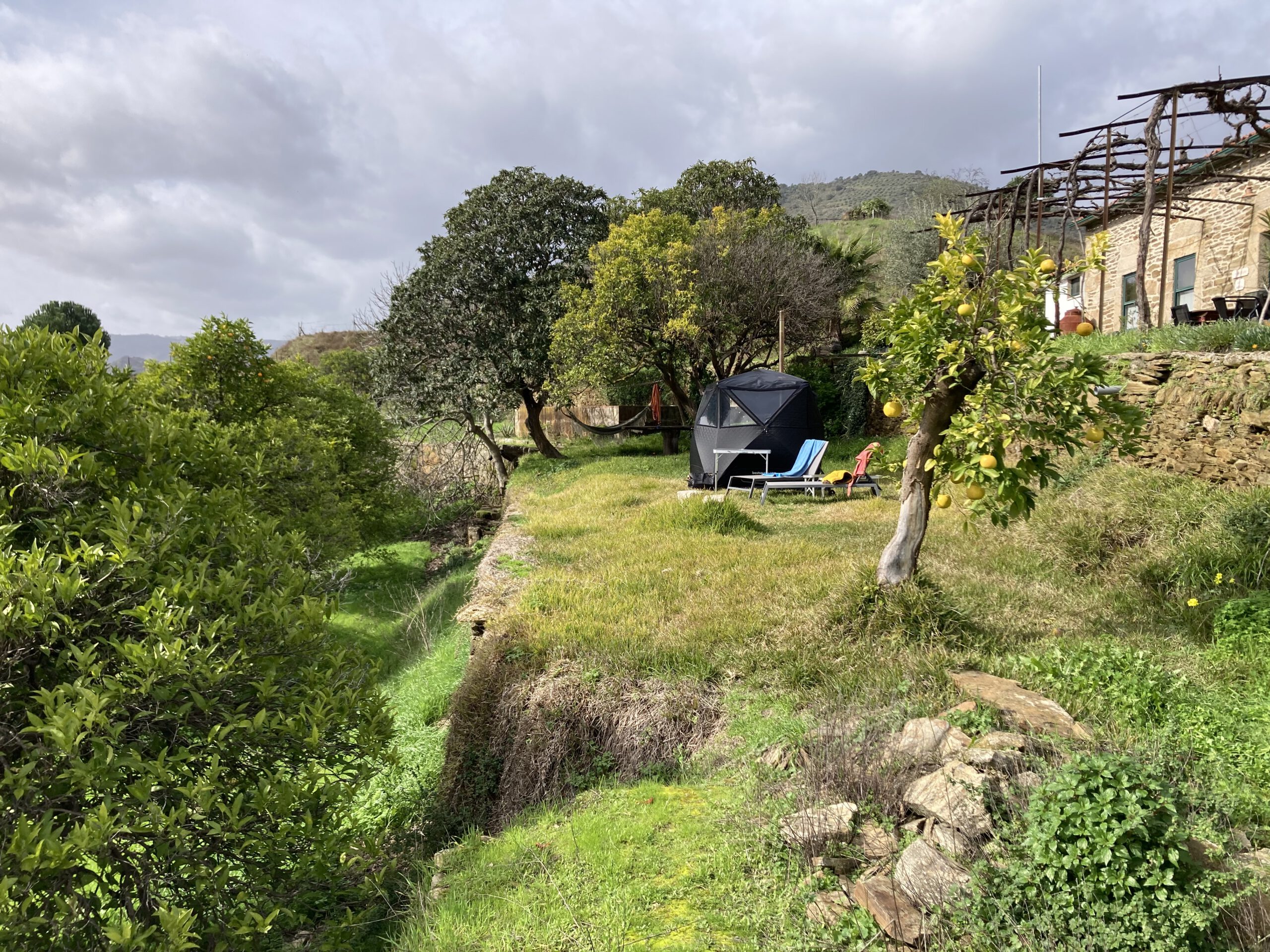 Home img 8829
